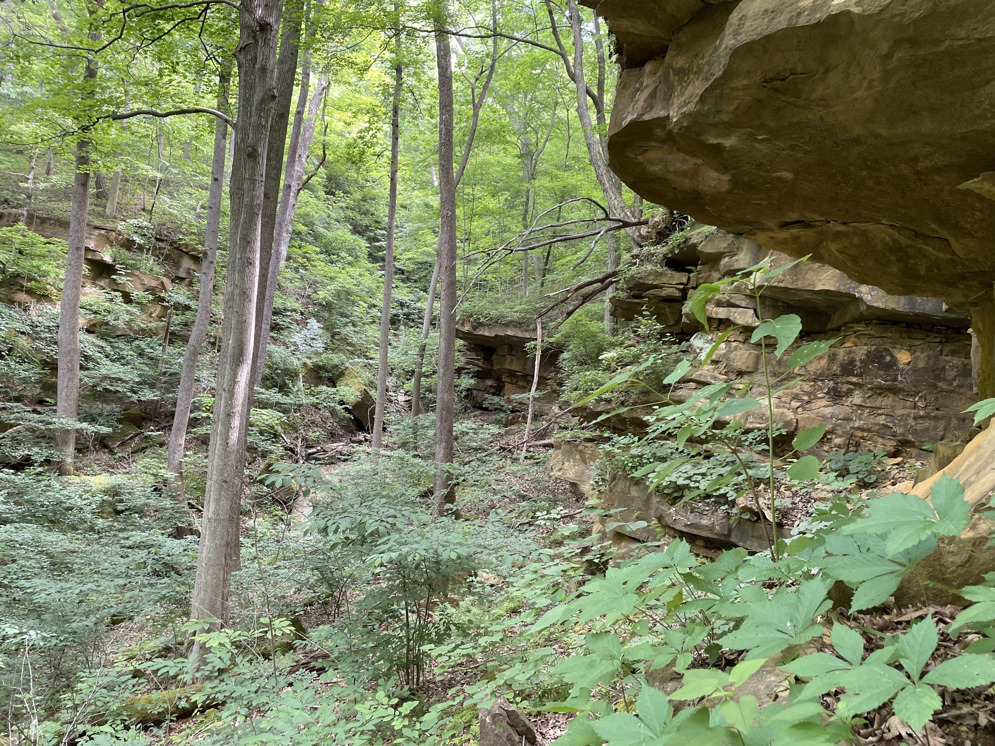 Adams county bisher dolostone outcrops